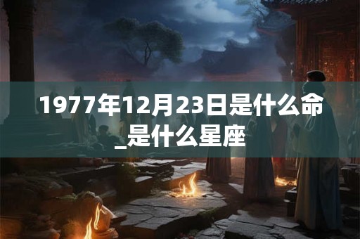 1977年12月23日是什么命_是什么星座 1977年12月23日是什么命_是什么星座