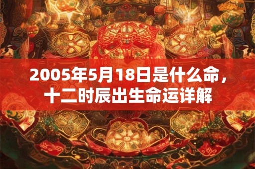 2005年5月18日是什么命，十二时辰出生命运详解