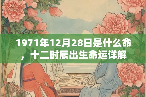 1971年12月28日是什么命，十二时辰出生命运详解