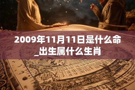 2009年11月11日是什么命_出生属什么生肖