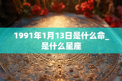 1991年1月13日是什么命_是什么星座