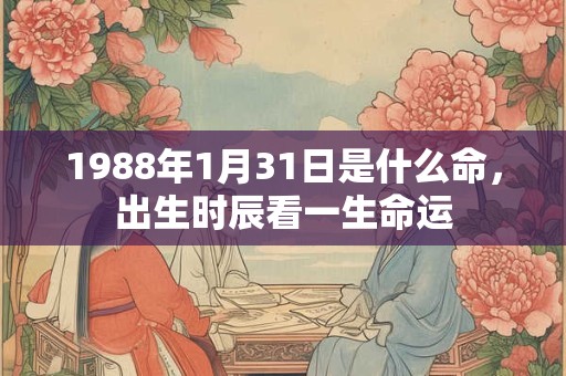 1988年1月31日是什么命，出生时辰看一生命运