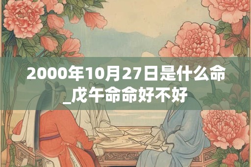 2000年10月27日是什么命_戊午命命好不好