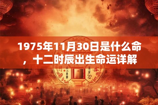 1975年11月30日是什么命，十二时辰出生命运详解