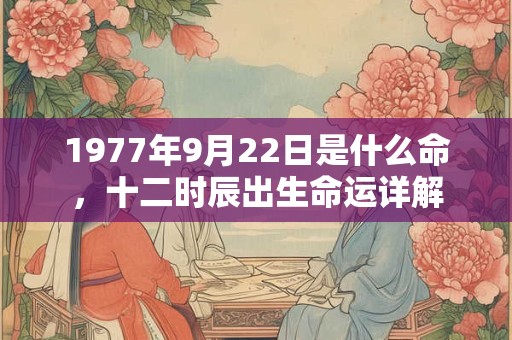 1977年9月22日是什么命,十二时辰出生命运详解 1977年9月22日是什么命,十二时辰出生命运详解