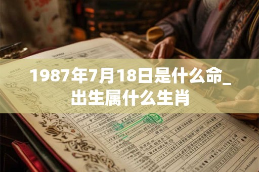 1987年7月18日是什么命_出生属什么生肖