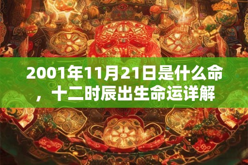 2001年11月21日是什么命,十二时辰出生命运详解 2001年11月21日是什么命,十二时辰出生命运详解