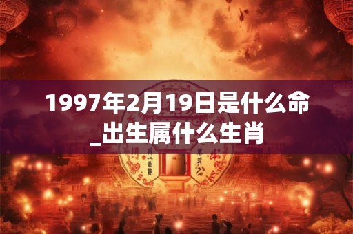 1997年2月19日是什么命_出生属什么生肖