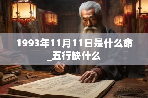 1993年11月11日是什么命_五行缺什么