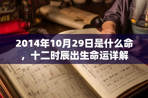 2014年10月29日是什么命，十二时辰出生命运详解