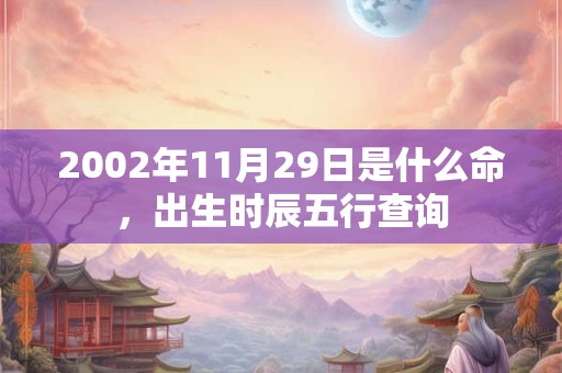 2002年11月29日是什么命，出生时辰五行查询