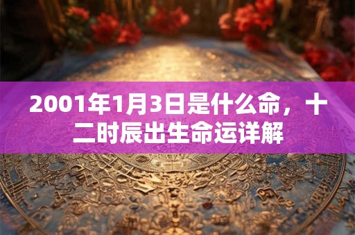 2001年1月3日是什么命，十二时辰出生命运详解