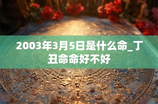 2003年3月5日是什么命_丁丑命命好不好 2003年3月5日是什么命_丁丑命命好不好