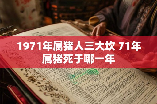 1971年属猪人三大坎 71年属猪死于哪一年