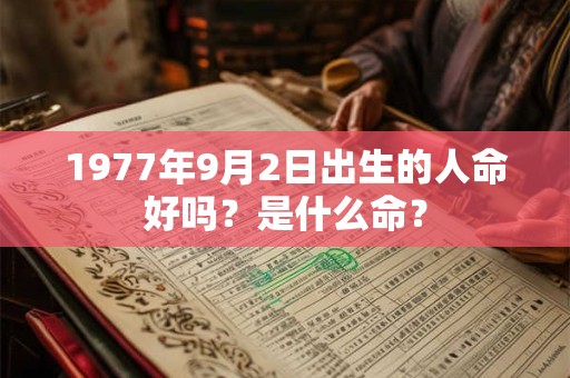 1977年9月2日出生的人命好吗？是什么命？