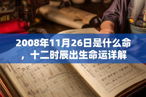 2008年11月26日是什么命，十二时辰出生命运详解