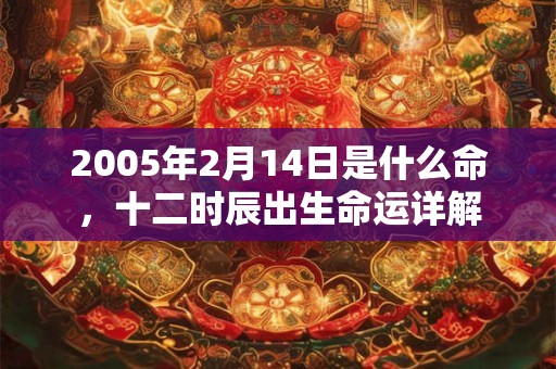 2005年2月14日是什么命，十二时辰出生命运详解