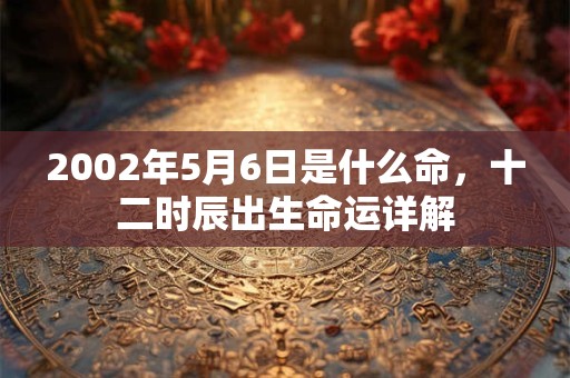 2002年5月6日是什么命，十二时辰出生命运详解