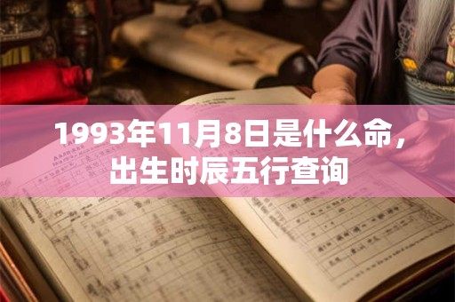 1993年11月8日是什么命，出生时辰五行查询