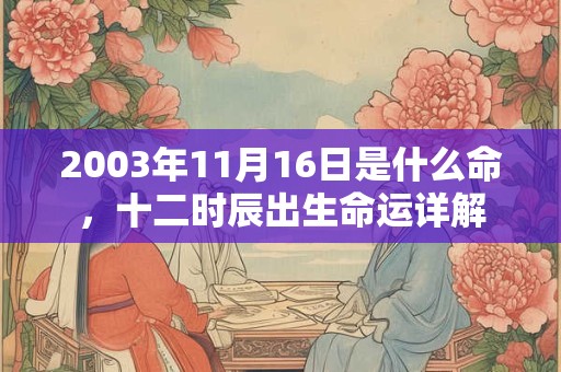 2003年11月16日是什么命，十二时辰出生命运详解