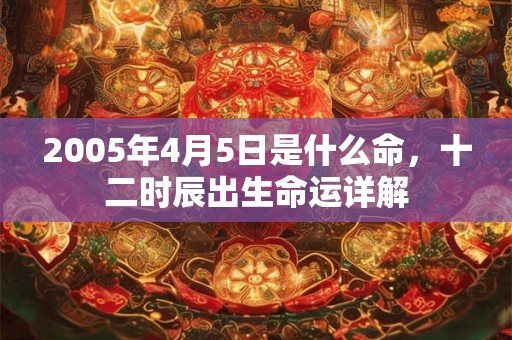 2005年4月5日是什么命，十二时辰出生命运详解