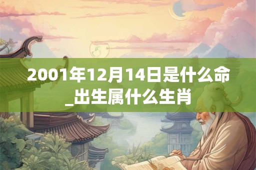 2001年12月14日是什么命_出生属什么生肖