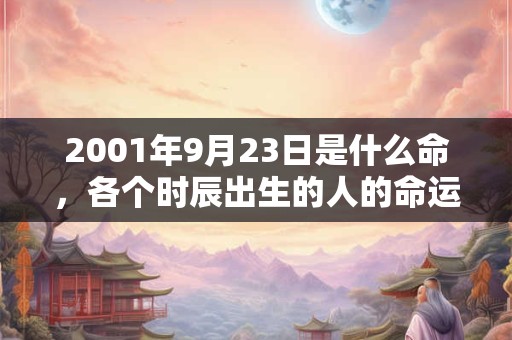 2001年9月23日是什么命，各个时辰出生的人的命运