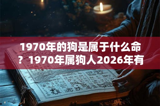 1970年的狗是属于什么命？1970年属狗人2026年有一灾？