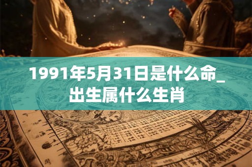 1991年5月31日是什么命_出生属什么生肖