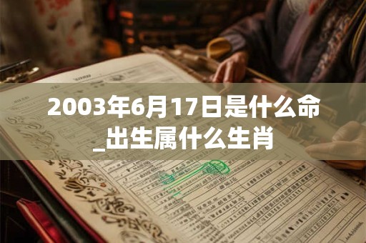 2003年6月17日是什么命_出生属什么生肖