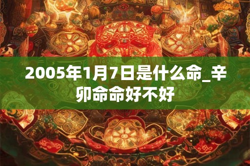 2005年1月7日是什么命_辛卯命命好不好