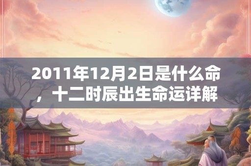 2011年12月2日是什么命，十二时辰出生命运详解