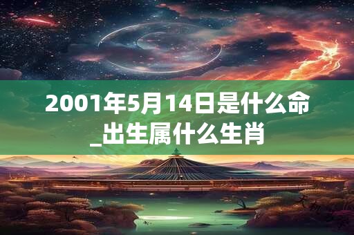 2001年5月14日是什么命_出生属什么生肖 2001年5月14日是什么命_出生属什么生肖