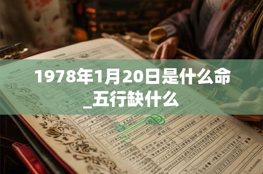 1978年1月20日是什么命_五行缺什么