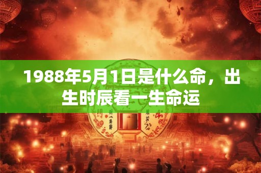 1988年5月1日是什么命，出生时辰看一生命运