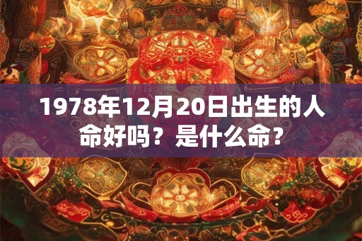 1978年12月20日出生的人命好吗？是什么命？
