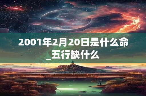 2001年2月20日是什么命_五行缺什么