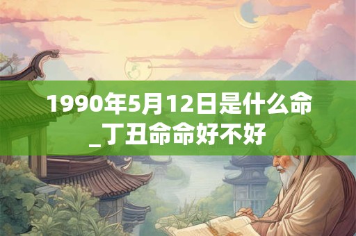 1990年5月12日是什么命_丁丑命命好不好