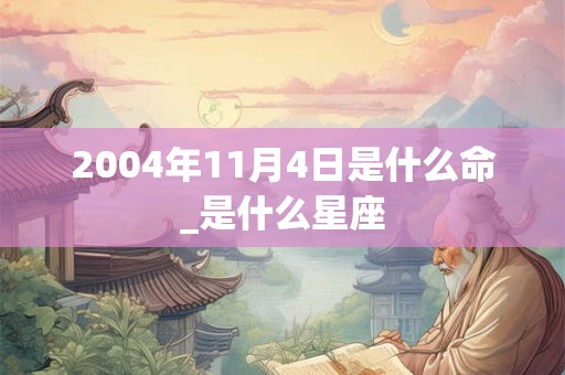 2004年11月4日是什么命_是什么星座