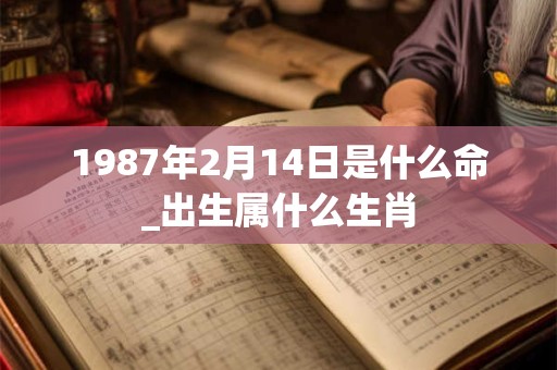 1987年2月14日是什么命_出生属什么生肖