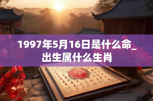 1997年5月16日是什么命_出生属什么生肖