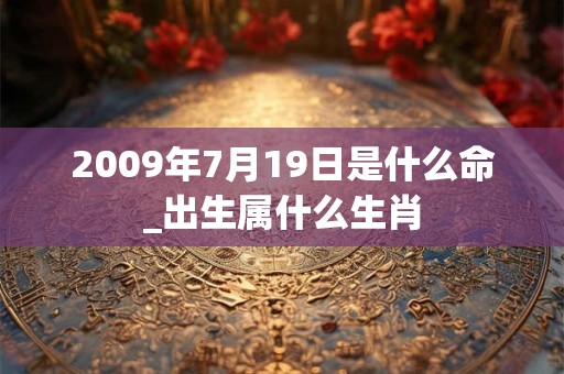 2009年7月19日是什么命_出生属什么生肖
