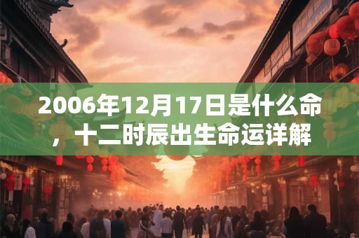 2006年12月17日是什么命，十二时辰出生命运详解