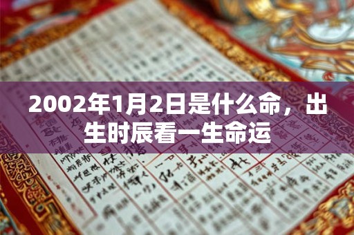 2002年1月2日是什么命，出生时辰看一生命运