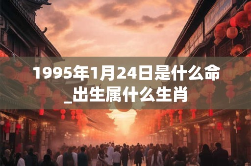 1995年1月24日是什么命_出生属什么生肖