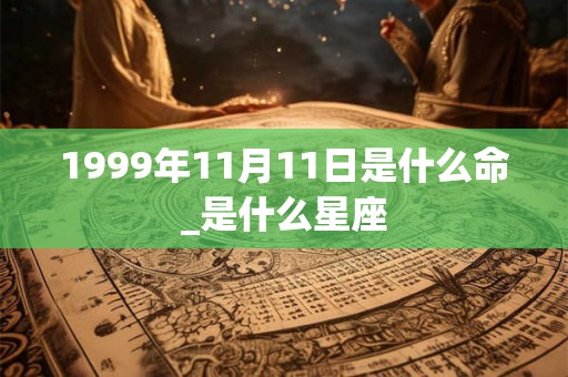 1999年11月11日是什么命_是什么星座