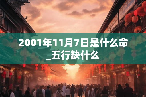 2001年11月7日是什么命_五行缺什么