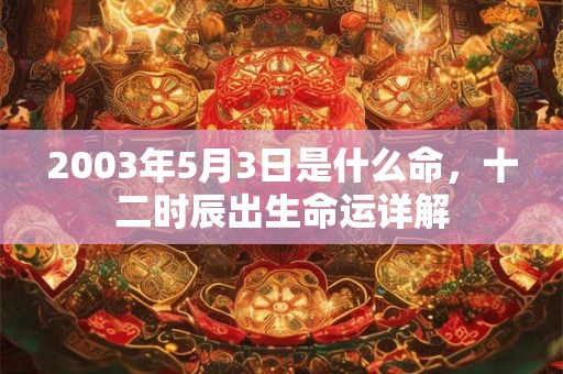 2003年5月3日是什么命，十二时辰出生命运详解