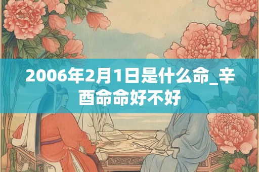 2006年2月1日是什么命_辛酉命命好不好 2006年2月1日是什么命_辛酉命命好不好