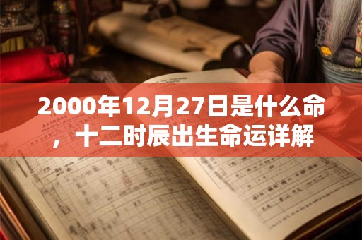 2000年12月27日是什么命，十二时辰出生命运详解